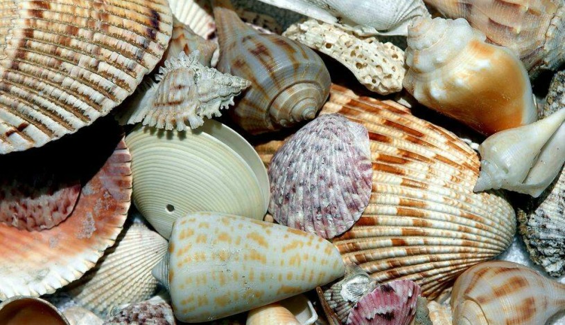 Hotel U Kata Kutná Hora